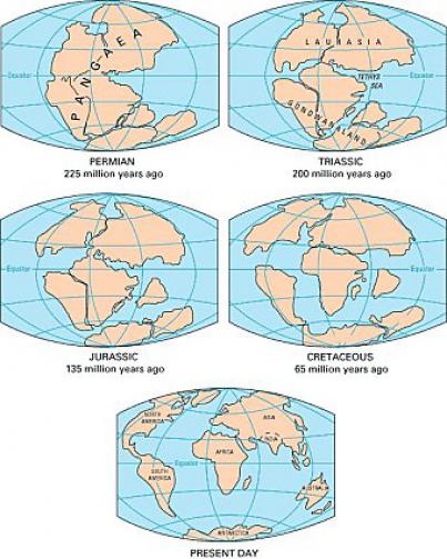 Movement of continents from Permian period to present