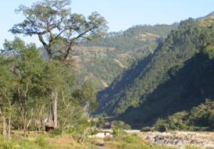 Siwalik Hills