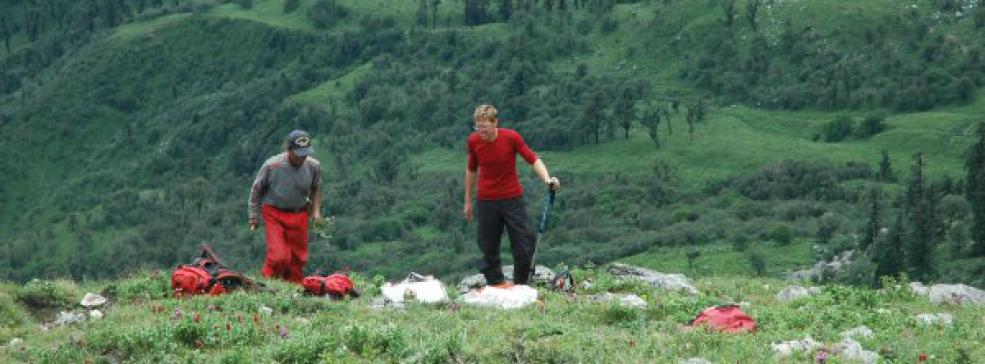 Plant collecting in Bajhang